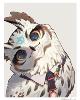 busy-owl92