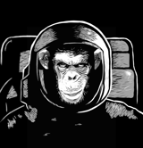 LostMonkey