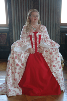 Venicewheels