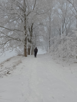 Winterpercht