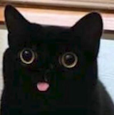 Babu