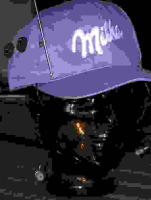 Lila-Kuh