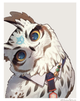 busy-owl92